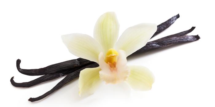 Vanilla perfume